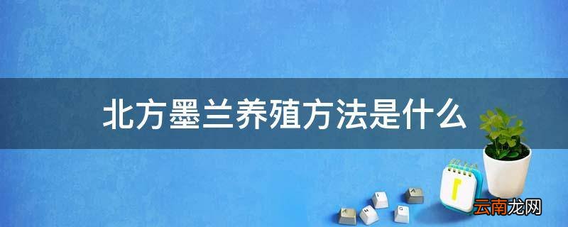 北方墨兰养殖方法是什么