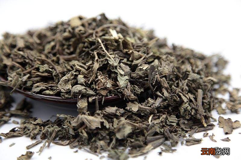 盘点一些小蓟的功效 益于健康