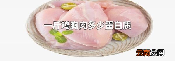 一斤鸡胸肉多少蛋白质