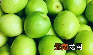 青枣放冰箱好还是放外面好 青枣放冰箱冷藏好还是放外面好