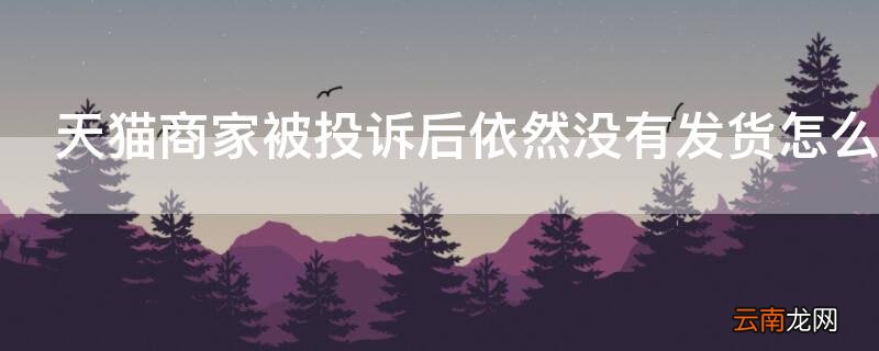 天猫商家被投诉后依然没有发货怎么办