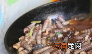 丁螺冷水下锅煮多久 丁螺冷水煮还是开水煮