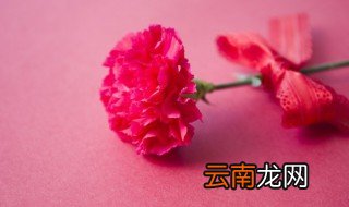 中秋节送什么花 中秋节适合送啥花