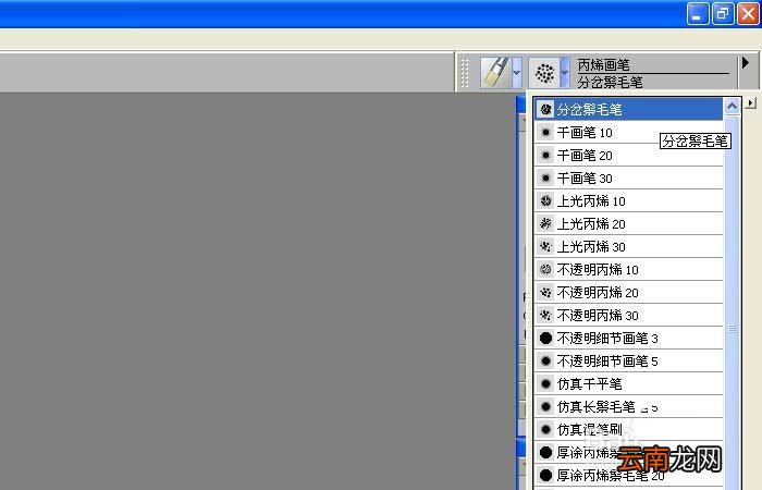 painter中使用丙烯画笔绘画水彩画具体操作方法