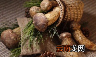 鲜松茸怎么保存时间长 鲜松茸长期保存方法介绍