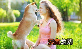 属狗戴什么招财 属狗的人带什么招财好运