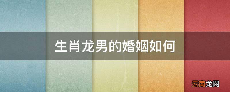 生肖龙男的婚姻如何