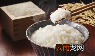小熊电饭锅蒸米饭要多久 电饭锅蒸米饭要多久