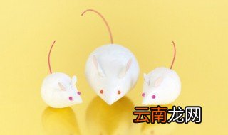 属鼠戴什么招财 属老鼠戴什么招财