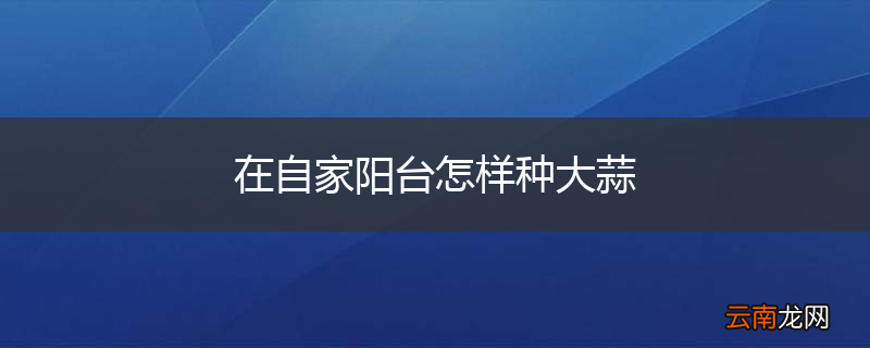 在自家阳台怎样种大蒜