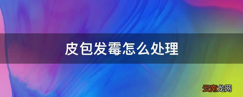 皮包发霉怎么处理