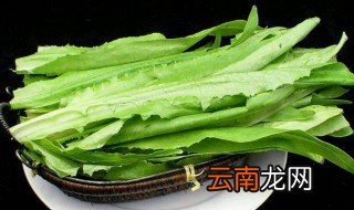 油麦菜能生吃吗 可以生吃油麦菜吗