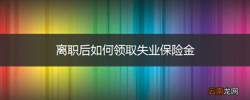 离职后如何领取失业保险金