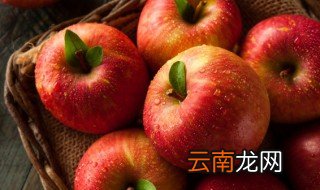 止泻用蒸苹果要蒸多久 蒸苹果止泻蒸多长时间
