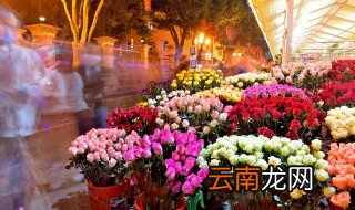 搬家当天买什么鲜花好 适合搬家送的花
