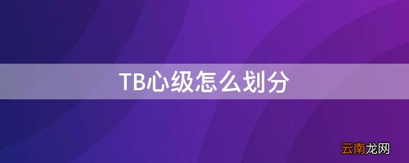 TB心级怎么划分 tb是什么等级