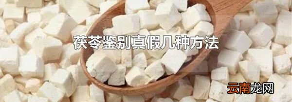 茯苓鉴别真假几种方法