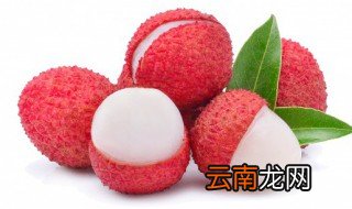 荔枝苗怎么样种才健壮 怎样育荔枝苗