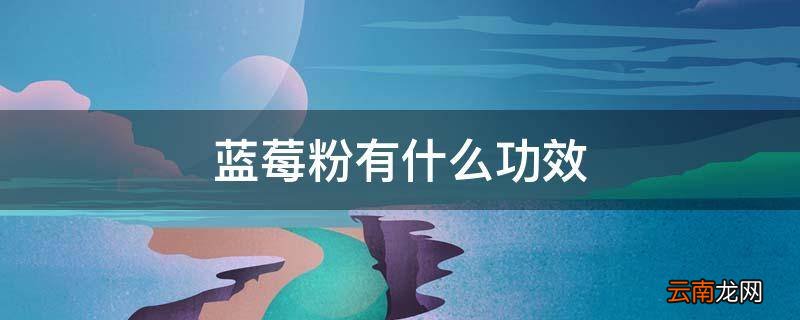 蓝莓粉有什么功效