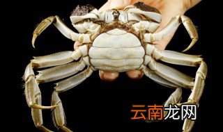 6月黄螃蟹蒸多久 六月黄大闸蟹要蒸多久
