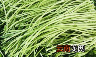 芦蒿和茼蒿哪个好吃 芦蒿和茼蒿好吃的是谁