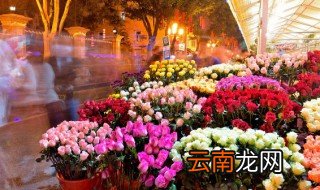 家庭养花技巧与禁忌 家庭养花技巧与禁忌有哪些