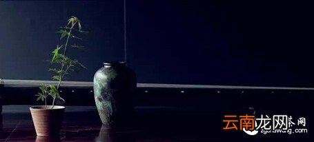 喧嚣世间 抛开烦恼,拿起茶杯放下心事