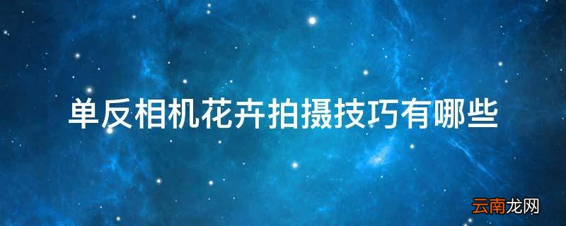 单反相机花卉拍摄技巧有哪些