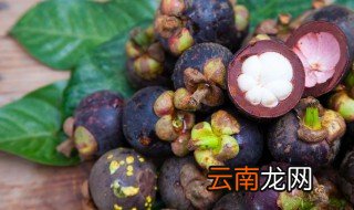 山竹果肉中心是透明的还能吃吗 能不能吃果肉中心是透明的山竹