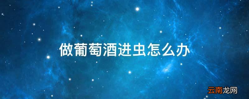 做葡萄酒进虫怎么办