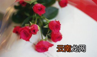 第一次约会送什么花 第一次约会应该送什么花