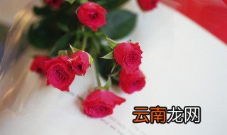 第一次见女生送什么花合适 第一次见女生送的花