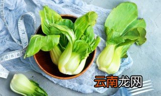 油菜怎么种才不会生虫 油菜容易生虫吗