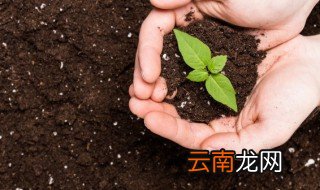 烂根的土还能用吗 烂根的土刻意继续使用的吗