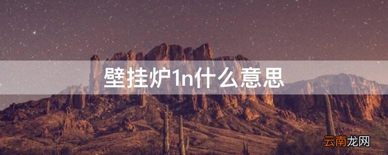 壁挂炉上1n 壁挂炉1n什么意思