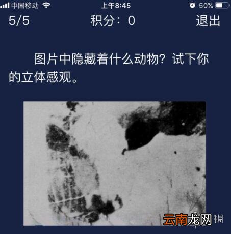 Crimaster每日任务答案 犯罪大师6月6日每日任务答案