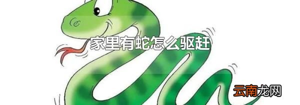 家里有蛇怎么驱赶