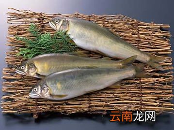 鱼坏了高温加热还能吃吗,炸好的鱼多次加热还可以吃吗?