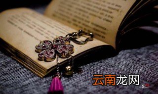 源代表什么生肖 源代表啥生肖