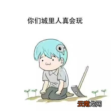 正规的借钱软件有哪些？正规的借钱软件盘点！