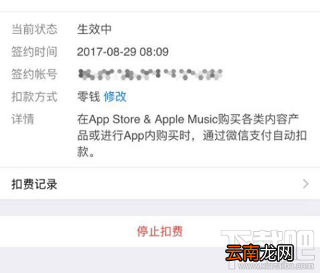 App Store怎么开通微信免密支付？