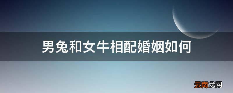 男兔和女牛相配婚姻如何