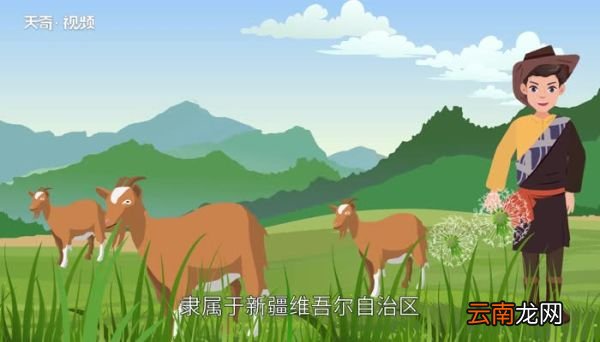 亚心之都是哪里亚心是什么意思