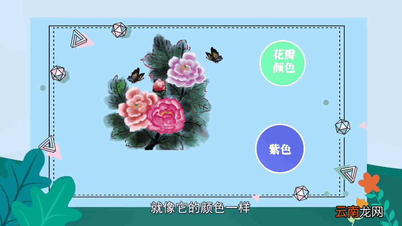 牡丹花语 牡丹花语是什么