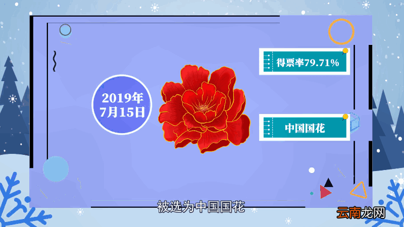 牡丹花语 牡丹花语是什么