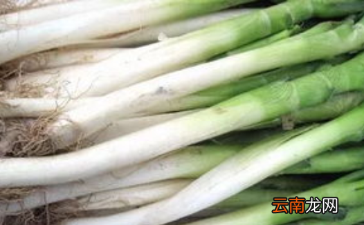 家庭大葱的保存方法，家用葱怎么保存 葱的保鲜方法视频