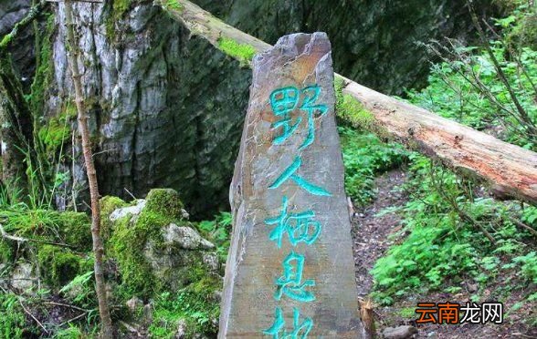 神农架为什么不能深入，中国版的亚马逊是什么