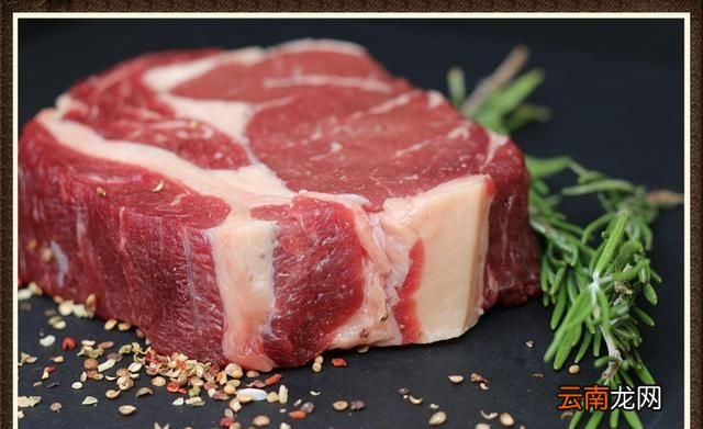 狗能吃生肉吗