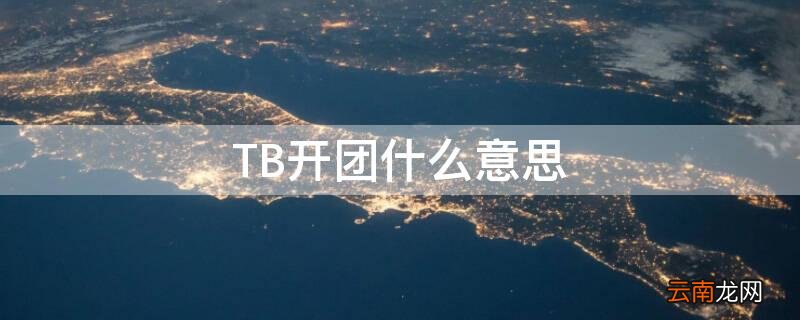 TB开团什么意思 团队tb是什么意思啊