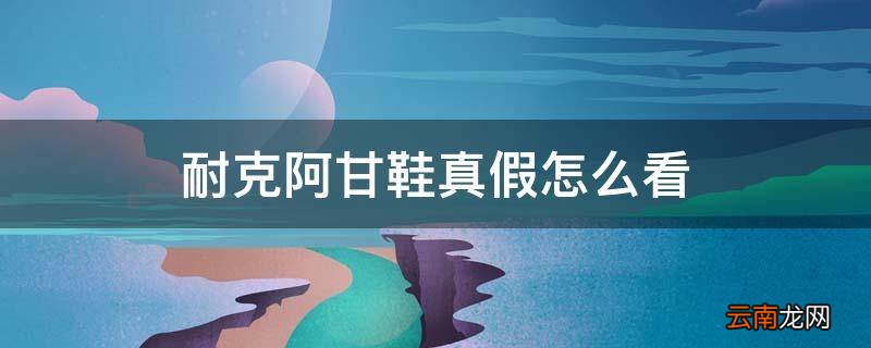 耐克阿甘鞋真假怎么看